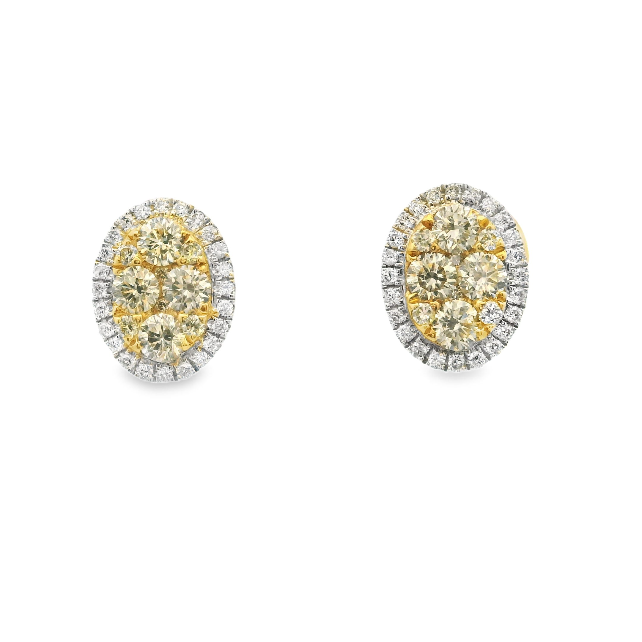 CHAMPAGNE OVAL STUDS