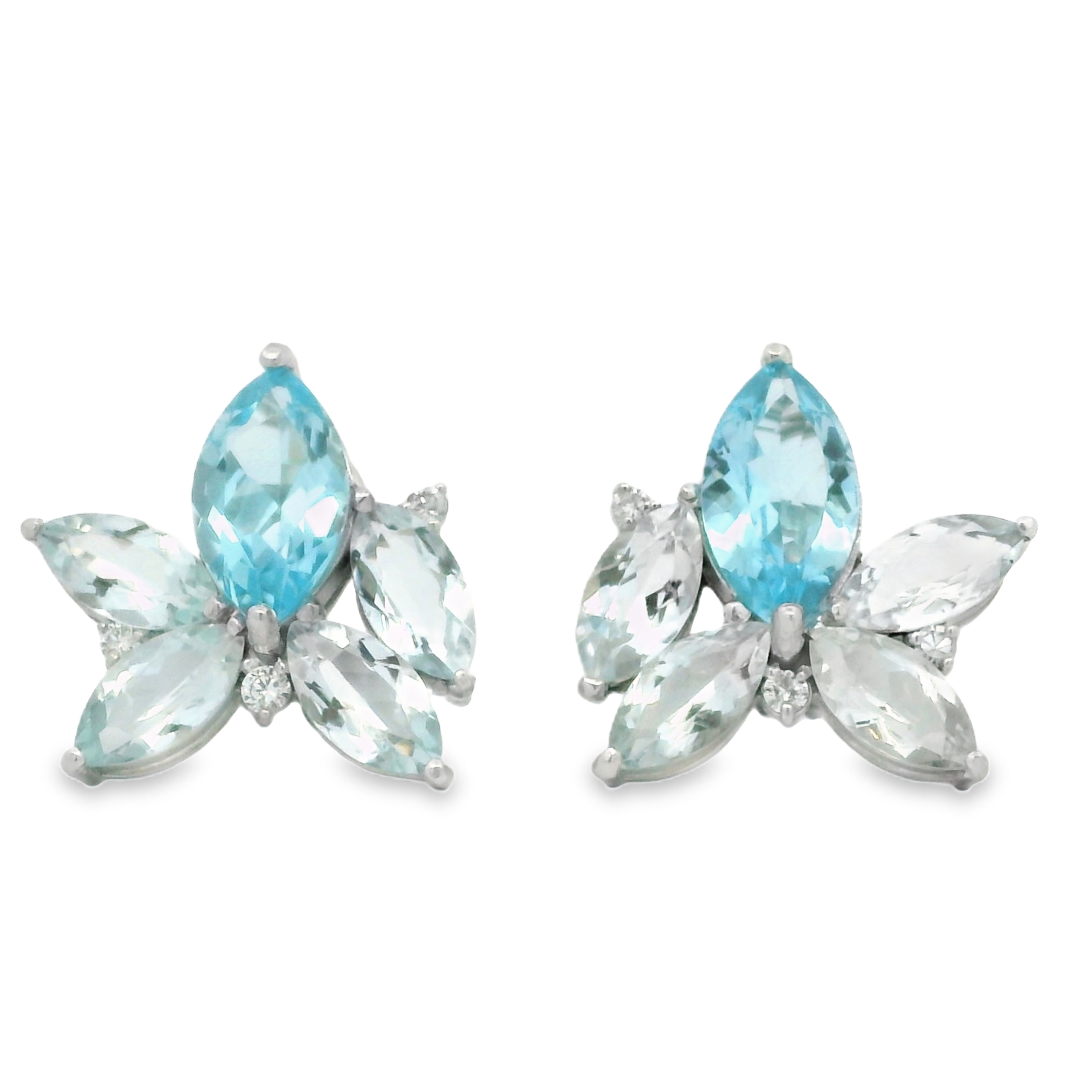 ORQUID BLUE