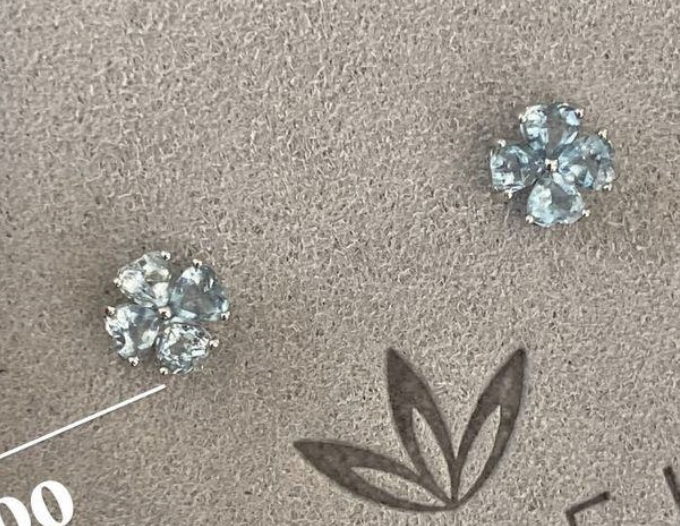 AQUAMARINE FLOWERS