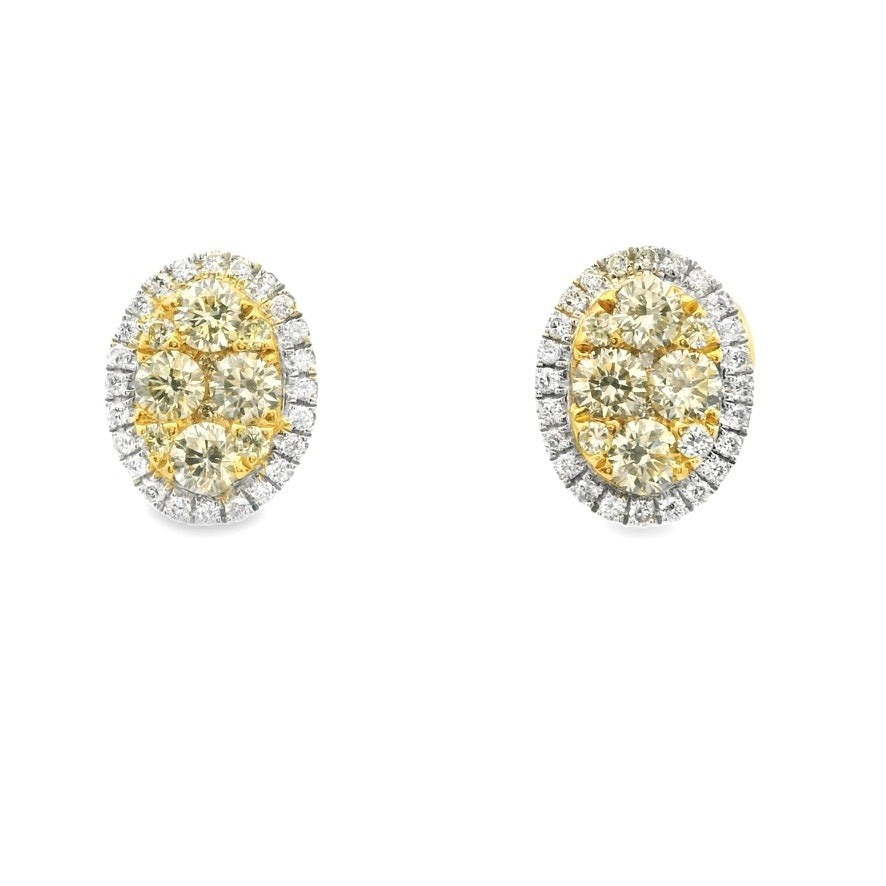 CHAMPAGNE OVAL STUDS