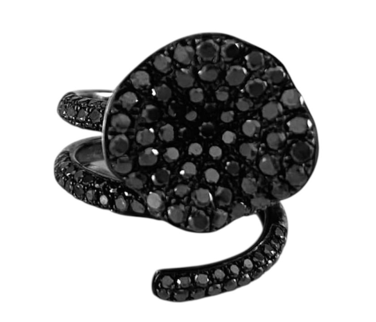 ORQUIDEA BLACK DIAMONDS